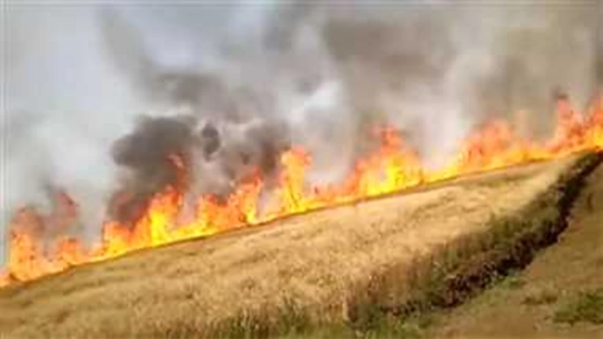 Indore: बेटमा रोड पर किसान पिता-पुत्र के घर में आग लगी, 25 क्विंटल सोयाबीन जली