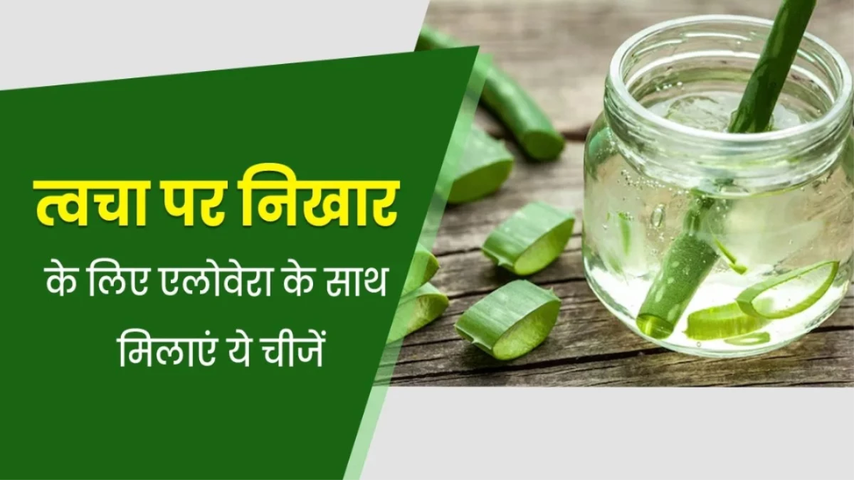 सर्दियों में वरदान से कम नहीं है एलोवेरा, स्किन और बालों के लिए ऐसे करें इस्तेमाल