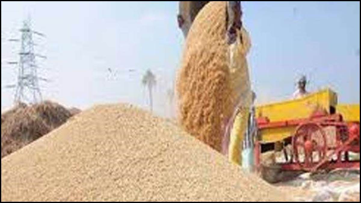 रीवा में 'रखवाला ही निकला चोर', सरकारी धान की 977 बोरियां फार्म हाउस में छिपाईं, सेवा सहकारी समिति प्रबंधक और भाई पर FIR