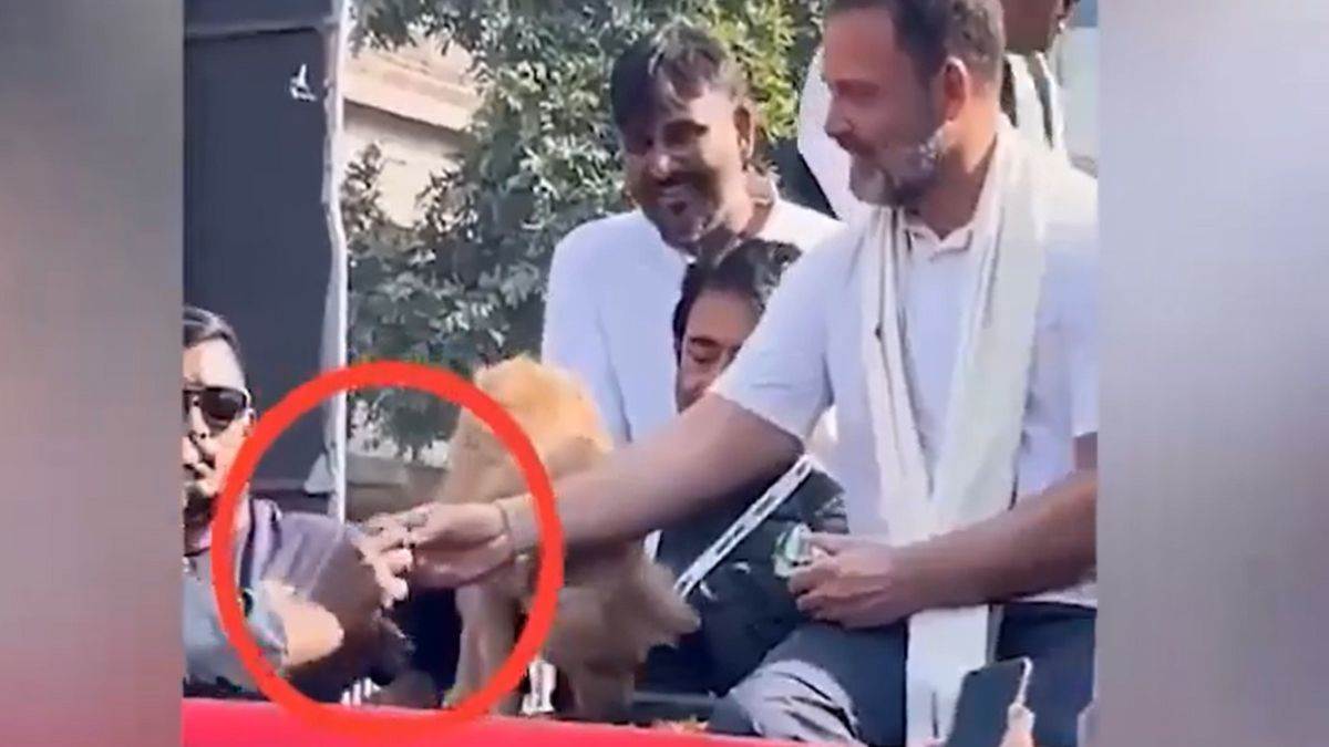 कुत्ते ने नहीं खाया तो राहुल गांधी ने बिस्किट कार्यकर्ता को दिया, विवाद पर कांग्रेस नेता ने दी सफाई