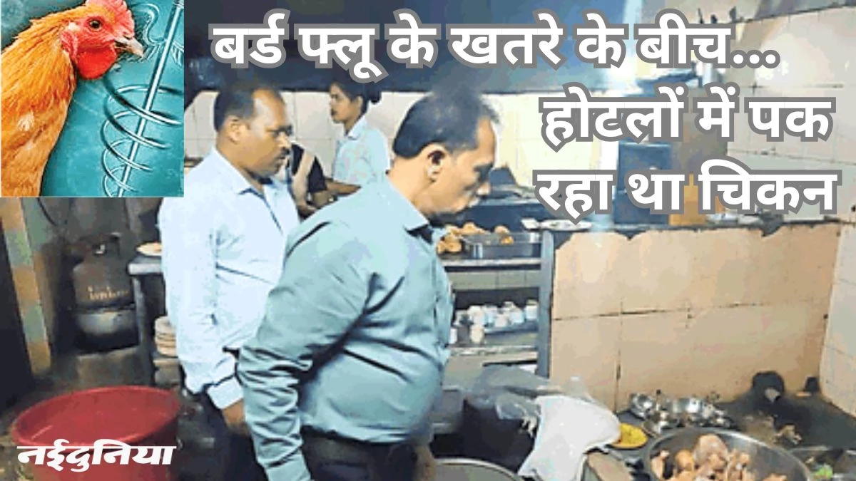 मरे पक्षी दिखें तो हो जाएं अलर्ट, दें जानकारी; रायगढ़ में चिकन पका रहे 8 होटलों पर 65 हजार का जुर्माना