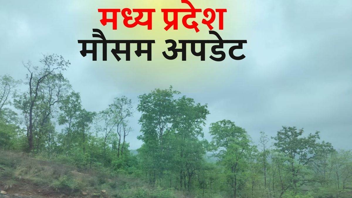 MP Weather: मध्‍य प्रदेश के 9 शहरों में पारा 10 डिग्री से कम, सर्द ...