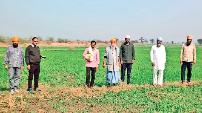 ग्वालियर में सात गांवों में 250 हैक्टेयर फसल बर्बाद, किसानों के खेतों तक पहुंची सर्वे टीम