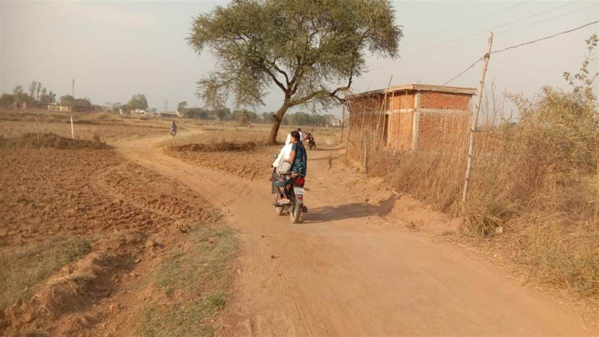 Janjgir-champa News : सपोस से बगरैल तक अधूरे सड़क निर्माण से हो रही परेशानी