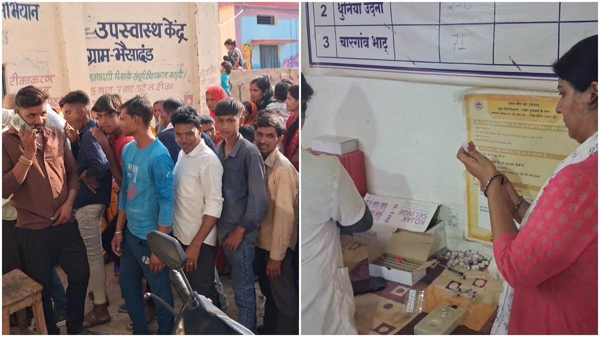 हफ्ते भर पहले गाय को कुत्‍ते ने काटा, मालिक ने दूध निकालना जारी रखा, पूरी बरात ने पिया रैबिज संक्रमित मठा, मचा हड़कंप