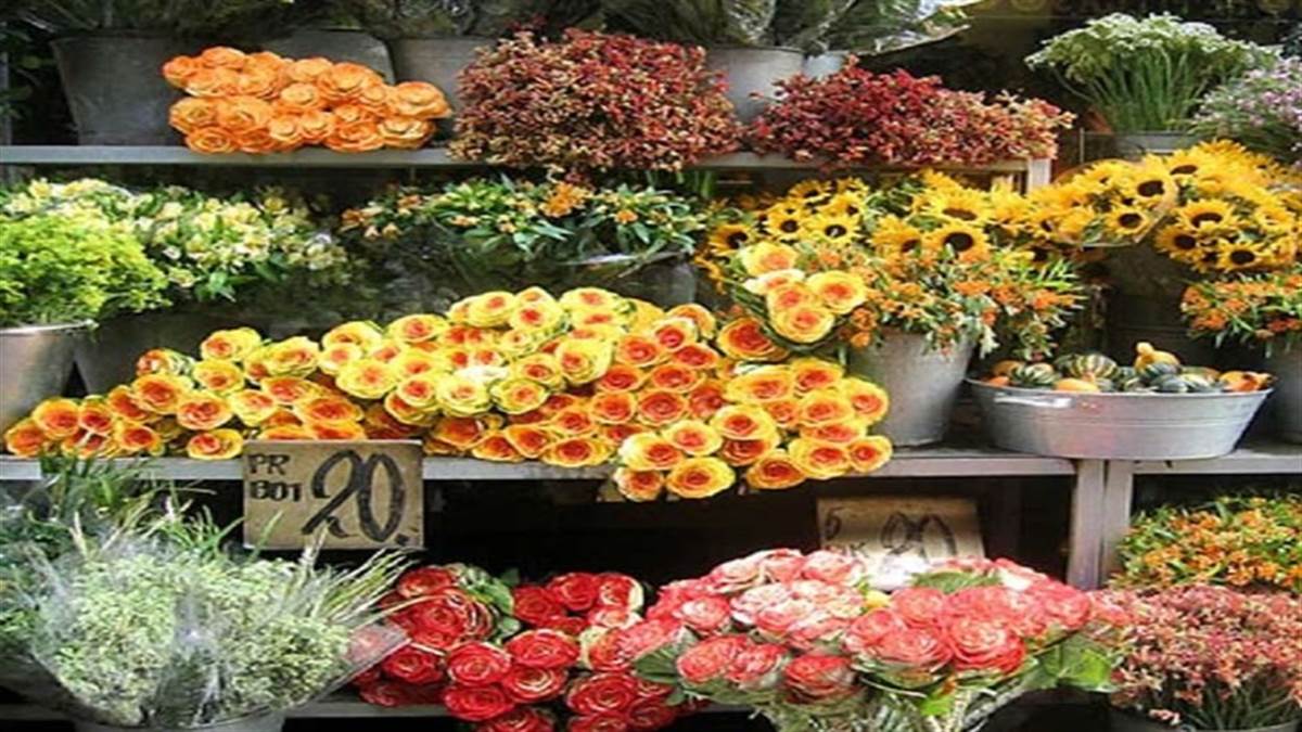 Business Idea: फूलों के व्यापार से आप कमा सकते हैं पैसे, जानें घर पर कैसे शुरू करें यह व्यवसाय