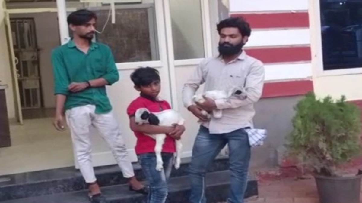 Khandwa News :  बकरी चोरी हुई तो उसकी बच्चों को लेकर थाने पहुंचा युवक, कहां इनकी मां को ढूंढकर लाओ
