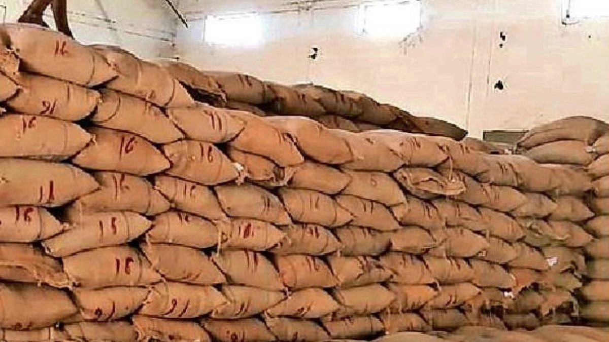 Dhan Transport Scam: मध्य प्रदेश में ट्रक की बजाए स्कूटर पर ही ले गए करोड़ों का धान, जांच में हुआ खुलासा