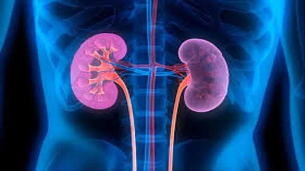 महिलाओं की किडनी खराब होने पर शरीर देता है ये 7 संकेत, समय रहते हो जाएं सतर्क