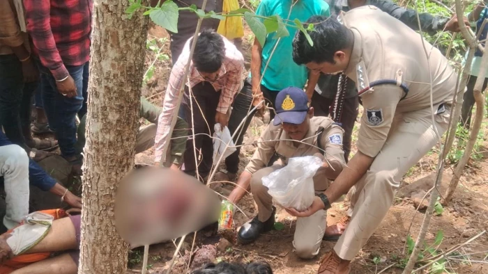 Tiger Attack: बुरहानपुर में युवक पर बाघ का हमला... गले पर पंजे से मारा, ज्यादा खून बहने से मौत