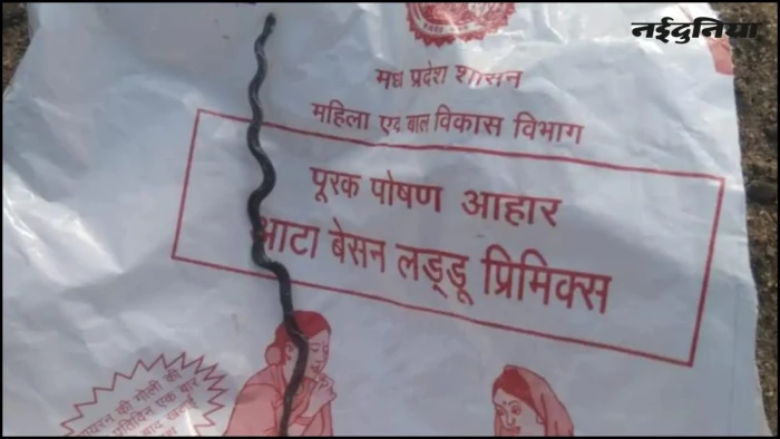 आंगनवाड़ी से मिले सत्तू पैकेट में निकला मरा हुआ सांप, डेढ़ साल की बच्ची को मिला था पोषण आहार, ग्रामीणों का भारी हंगामा