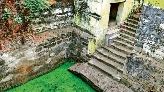 MP में कलचुरी काल का 'वाटर मैनेजमेंट' आज भी बना है बेमिसाल, अकाल में भी नहीं सूखती थीं बावड़ियां