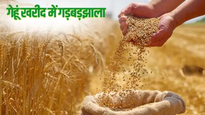 खाद्य मंत्री के गृह जिले सागर में गेहूं खरीदी में बड़ा फर्जीवाड़ा, 600 बोरियों में मिट्टी भरकर भंडारण के लिए भेजा