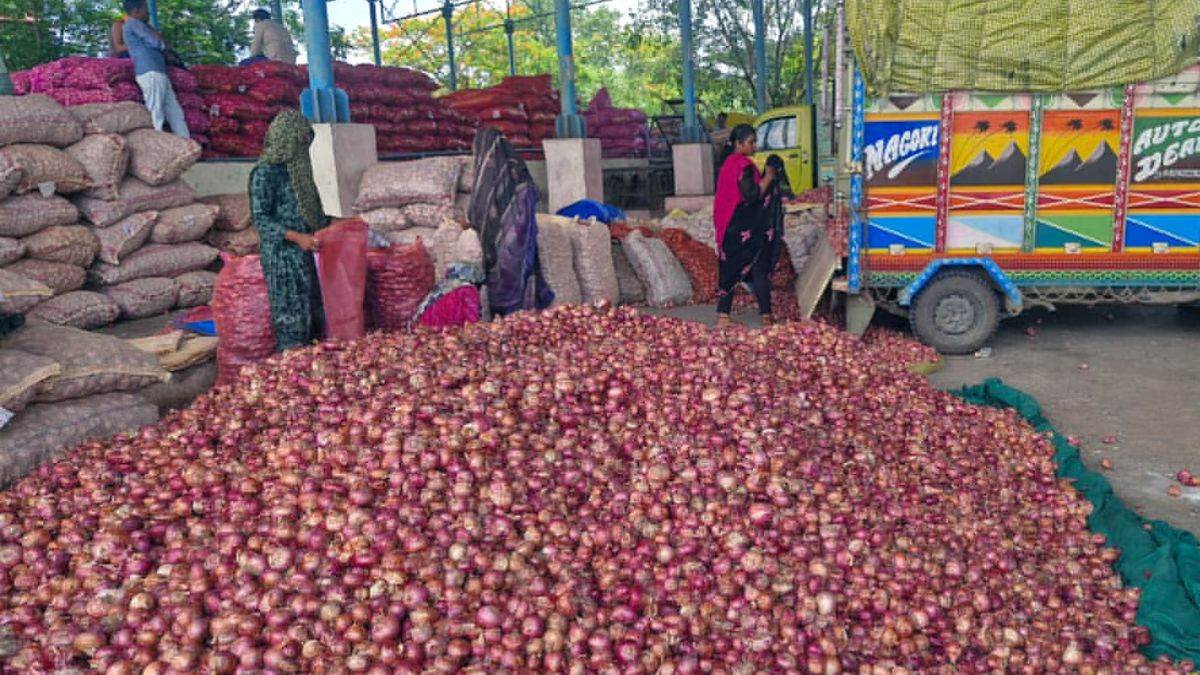 एमपी के किसानों को बड़ी राहत... केंद्र की खरीदी दर बढ़ते ही 300 रुपये प्रति क्विंटल महंगा हुआ प्याज