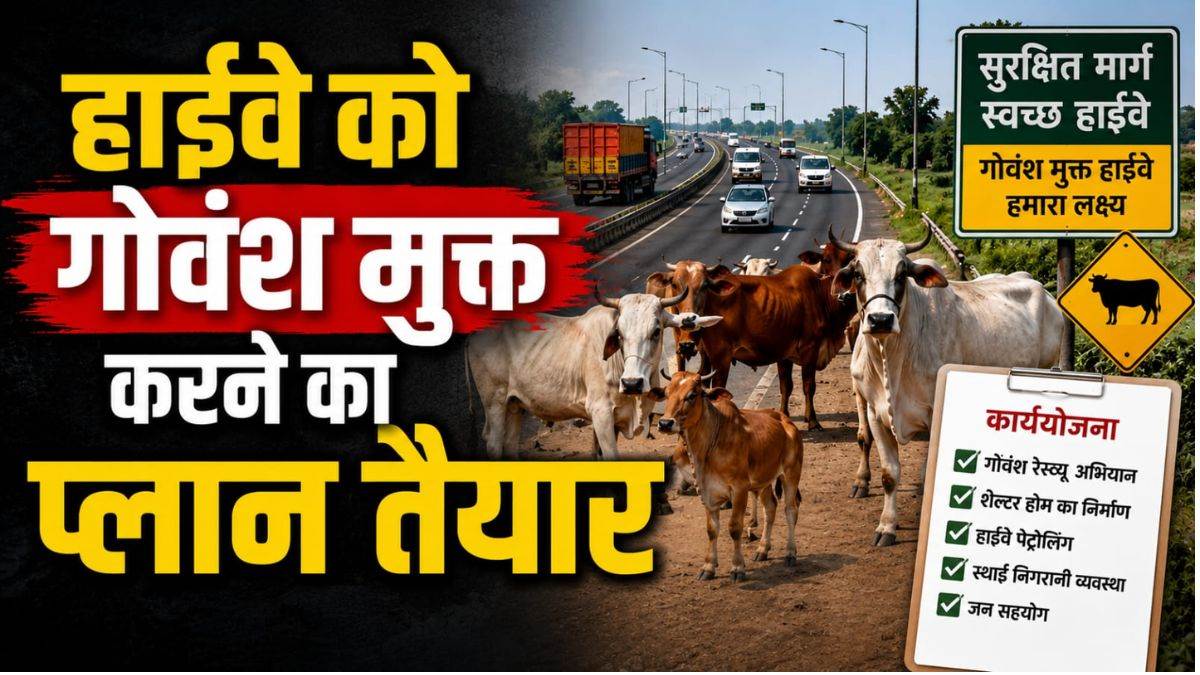 एमपी के स्टेट हाईवे पर हर 5 km में बनेंगे गोवंश के लिए टीन शेड और चबूतरे, MPRDC की बड़ी तैयारी, जल्द लागू होगी नई SOP