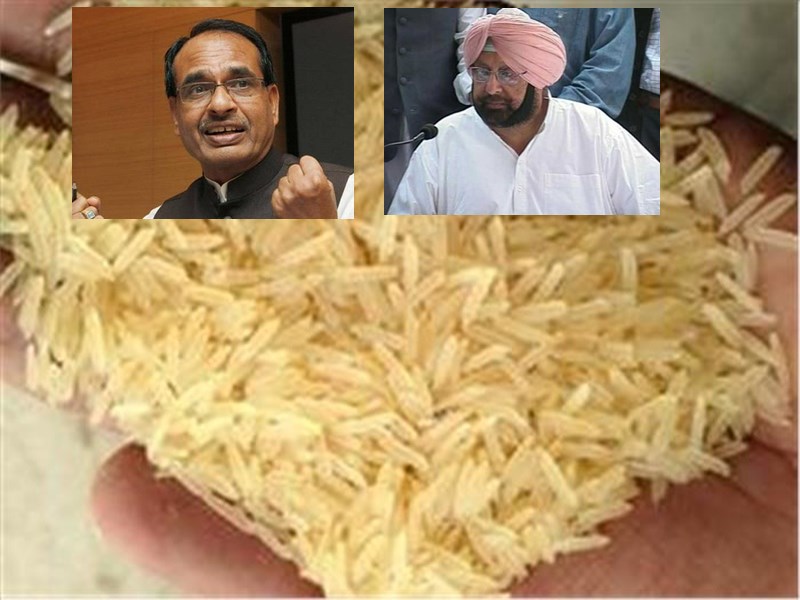 Basmati Rice GI Tagging बासमती चावल की जीआई टैगिंग पर मध्य प्रदेश और