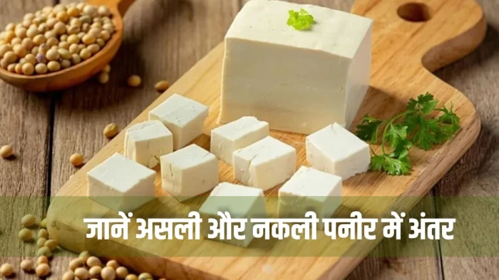 क्या है एनालॉग पनीर? क्या आप भी ले रहे यह 'स्लो पॉइजन', महाराष्ट्र और गुजरात सरकार ने किया बैन