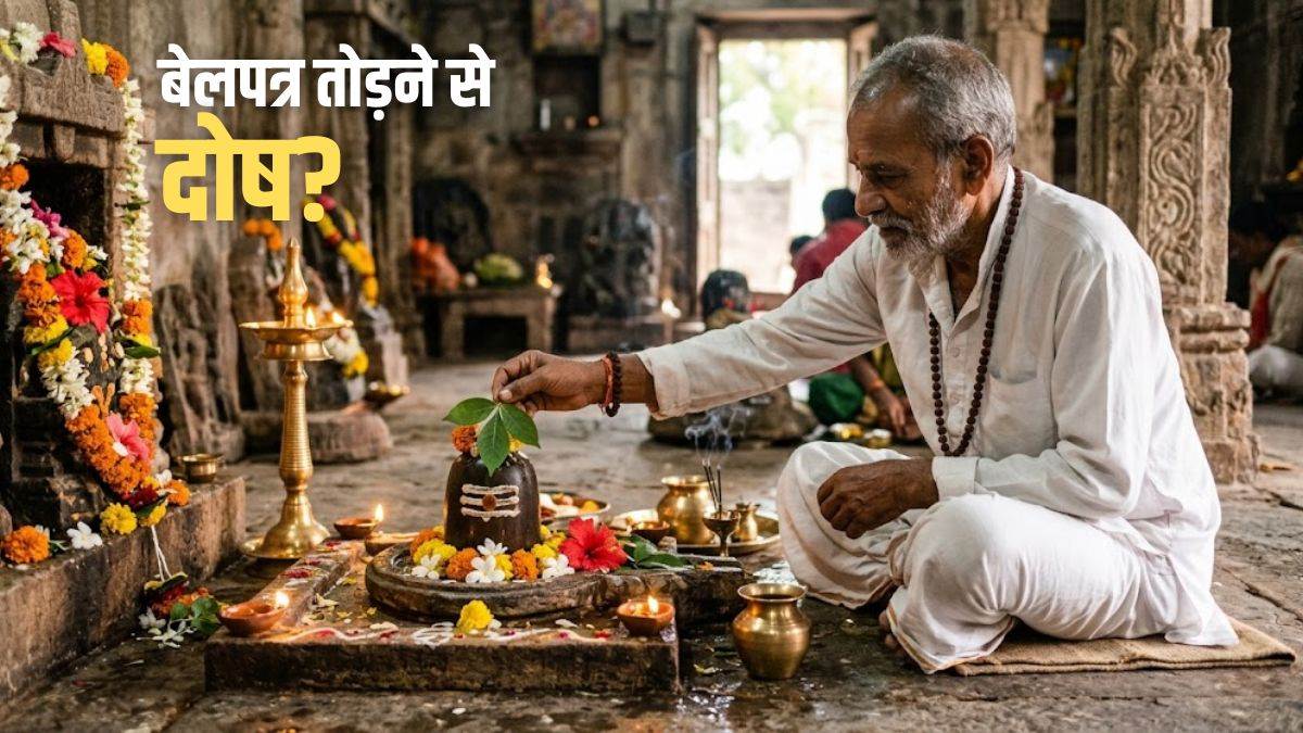 बेलपत्र तोड़ने से लग सकता है दोष…किसी भी दिन पेड़ को हाथ लगाना खतरे से खाली नहीं, जान लीजिए इसके सही नियम