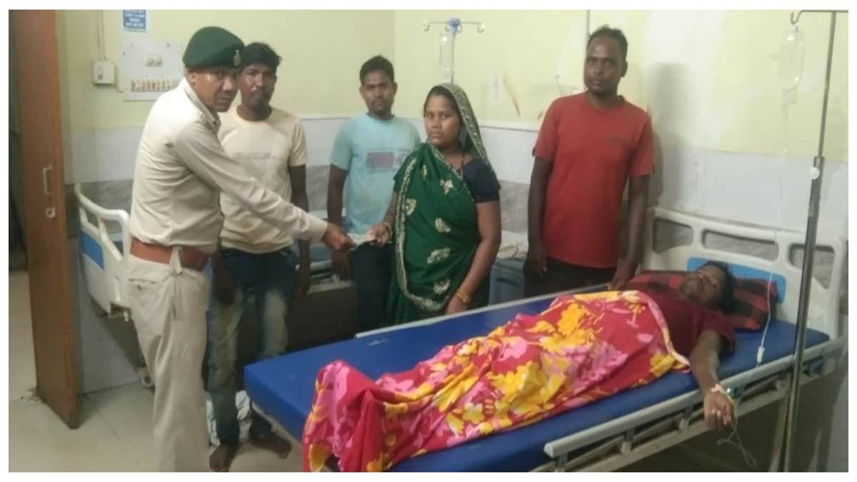हाथियों के करीब जाकर वीडियो बनाना पड़ा भारी: आक्रामक हुए गजराज,कोरबा के जंगल में मची अफरातफरी