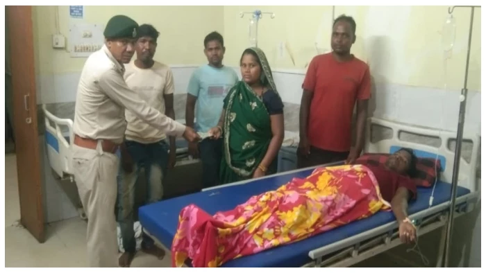 हाथियों के करीब जाकर वीडियो बनाना पड़ा भारी: आक्रामक हुए गजराज,कोरबा के जंगल में मची अफरातफरी