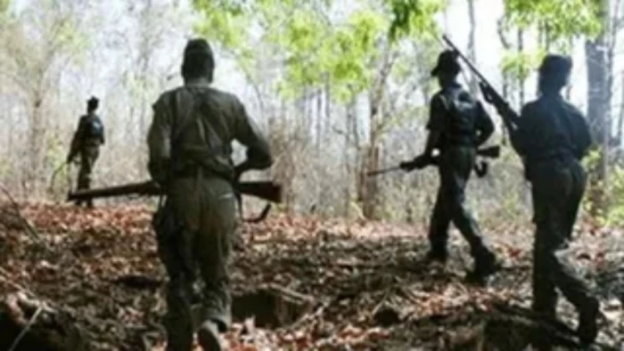 छत्तीसगढ़ में 66 आत्मसमर्पित माओवादियों के लिए 6.60 करोड़ रुपये मंजूर, बंदूक छोड़ मुख्यधारा में लौटने का मिलेगा इनाम