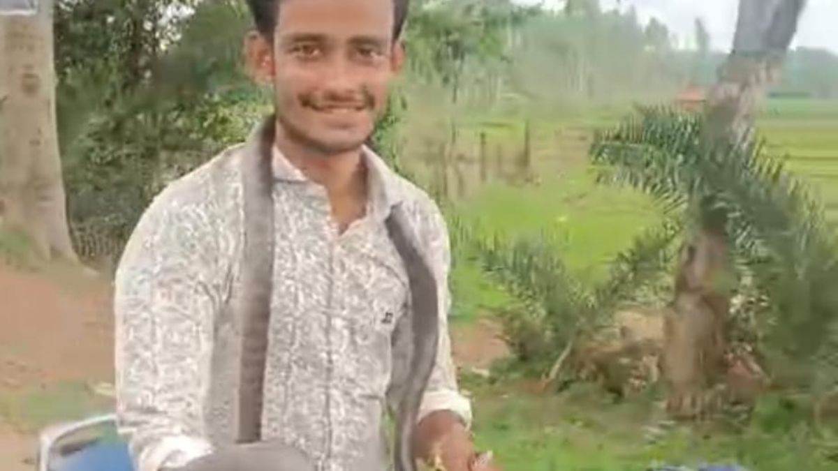 कांकेर में सांप के काटने पर युवक ने उसे गले में लपेटा और खुद बाइक चलाकर निकला अस्पताल, Video वायरल