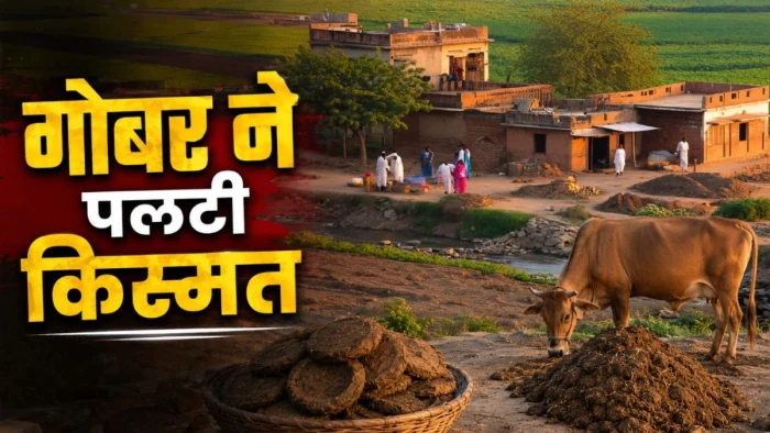 यूपी का एक ऐसा गांव... जहां गोबर ने पलटी लोगों की किस्मत, लाखों की बचत और 24 लोगों को रोजगार