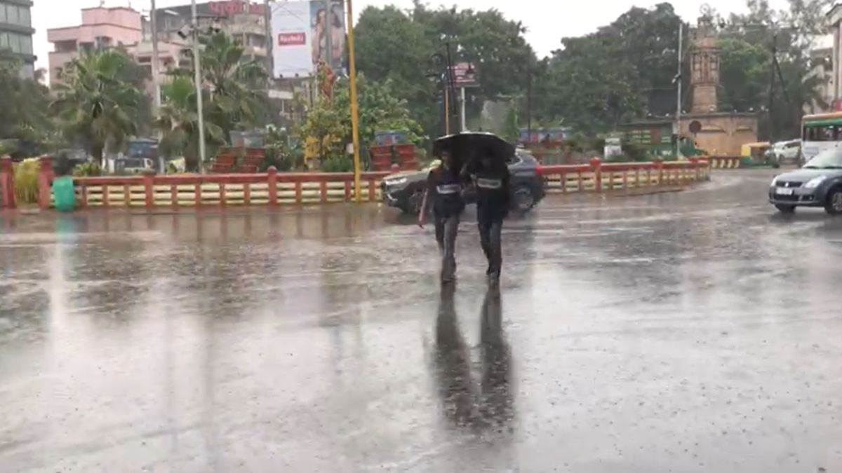 Betul Weather लौटा मानसून, बैतूल में झमाझम बारिश से खिले किसानों के