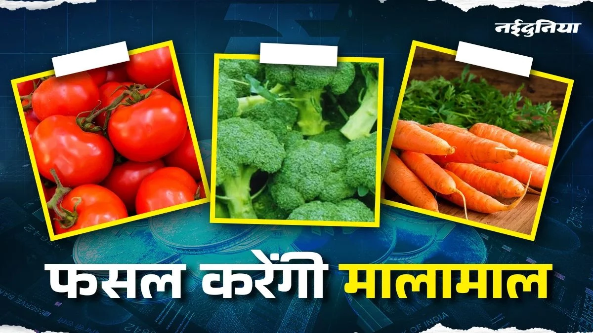 Business Idea: सितंबर में किसान उगाएं ये फसलें, कम समय में होंगी तैयार, कुछ महीनों में होगी सालभर की कमाई