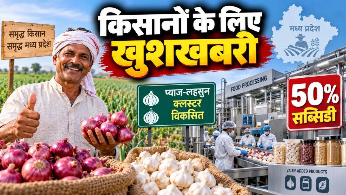एमपी के किसानों के लिए खुशखबरी… प्याज-लहसुन क्लस्टर किए जाएंगे विकसित, फूड प्रोसेसिंग पर मिलेगी 50% सब्सिडी एमपी के किसानों के लिए खुशखबरी… प्याज-लहसुन क्लस्टर किए जाएंगे विकसित, फूड प्रोसेसिंग पर मिलेगी 50% सब्सिडी