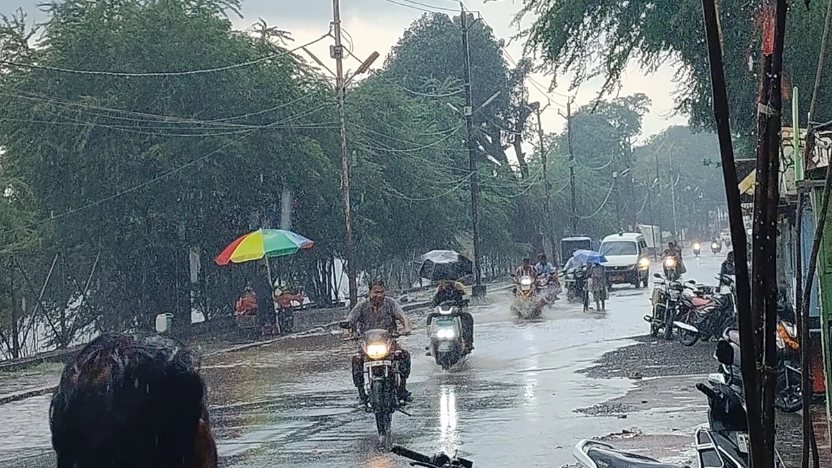 MP के सिवनी में जोरदार बारिश से धान और मक्का की फसल हआ नुकसान, निचले क्षेत्रों में जल भराव