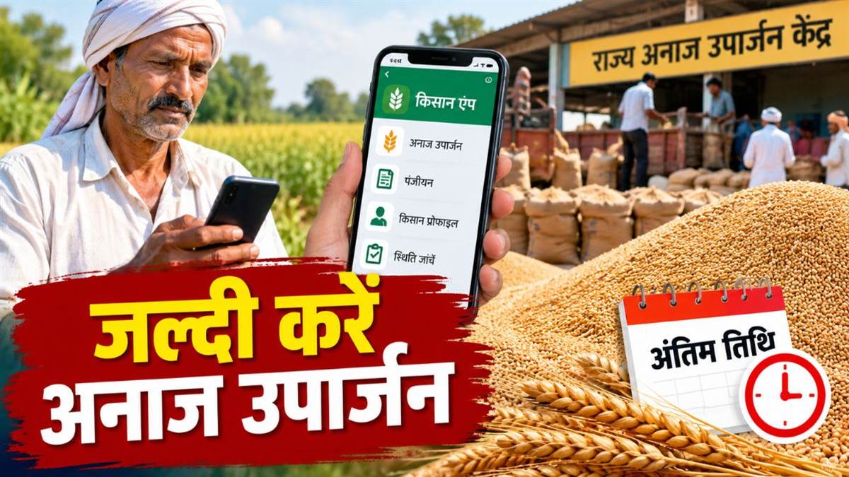 कटनी और पन्ना के किसान जल्दी करें, एप से अनाज उपार्जन के लिए यह है अंतिम तिथि