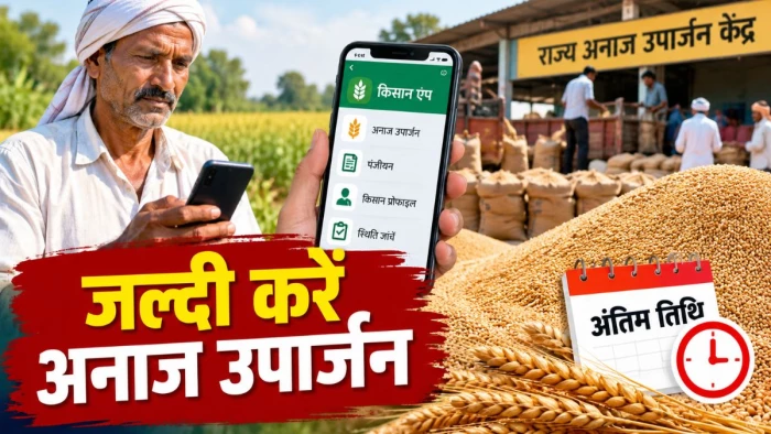 कटनी और पन्ना के किसान जल्दी करें, एप से अनाज उपार्जन के लिए यह है अंतिम तिथि