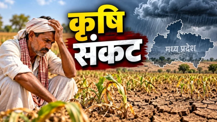 कमजोर मानसून से एमपी में गहराया कृषि संकट, फसलों का उत्पादन 4 लाख टन घटने के आसार, 30 जिलों में सामान्य से कम बारिश
