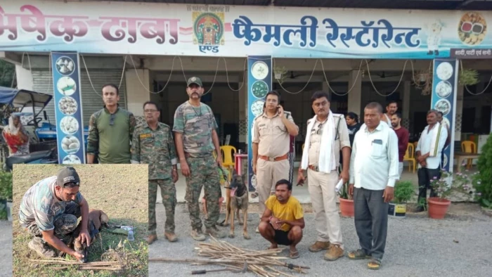 मैहर में करंट लगाकर सांभर का शिकार, डॉग स्क्वाॅयड ने आरोपी तक पहुंचाया