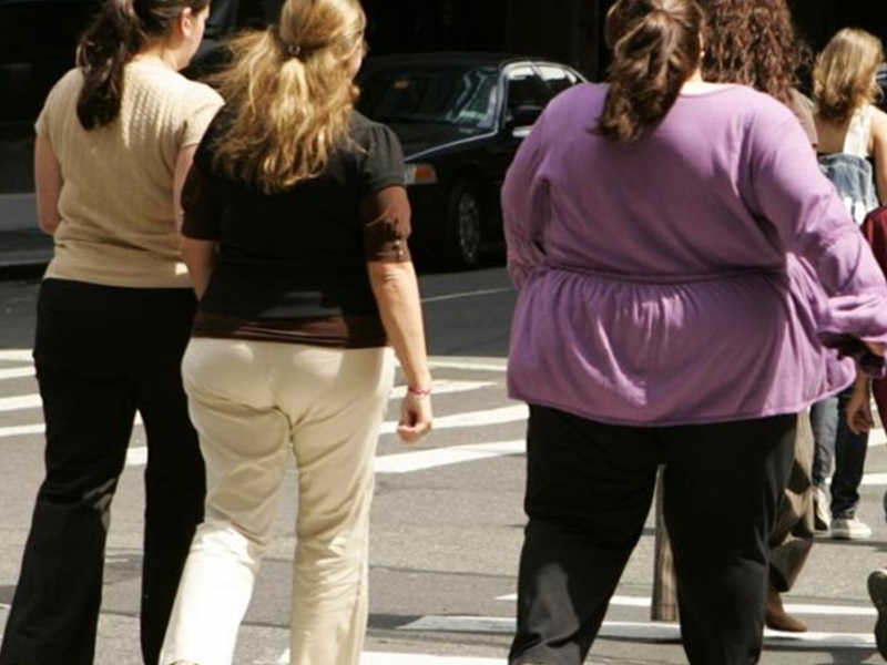 क्या आप जानते हैं कहां रहते हैं अमेरिका के सबसे मोटे लोग - mississippi  rated fattest state in america says obesity related health care costs too  much for country