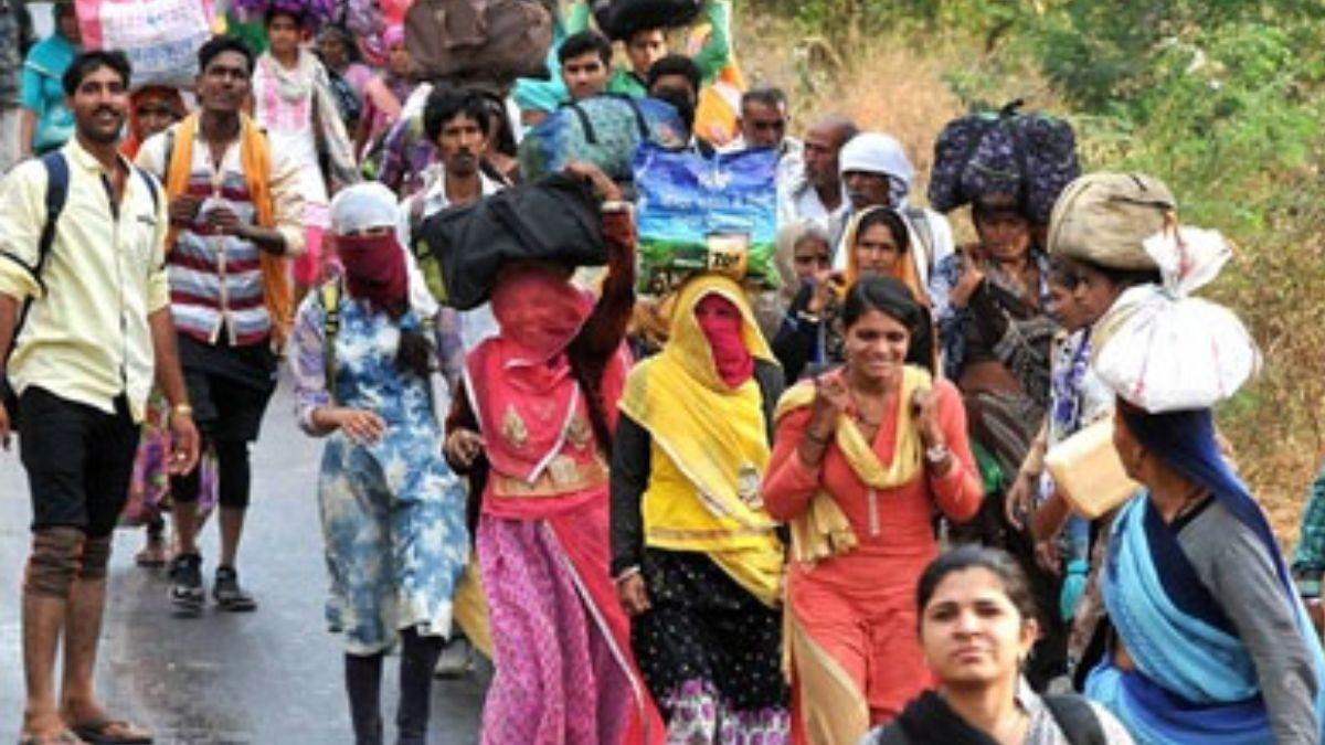 Panchkoshi Narmada Yatra 2024: 11 नवंबर को ओंकारेश्वर से शुरू होगी 50 किमी की नर्मदा परिक्रमा... जानिए कब क्या होगा