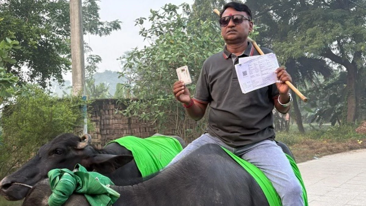 Bihar Election 2025: गाड़ी नहीं मिली तो भैंस पर सवार होकर पहुंचा वोटर, वैशाली में दिखी बिहार की अनोखी झलक