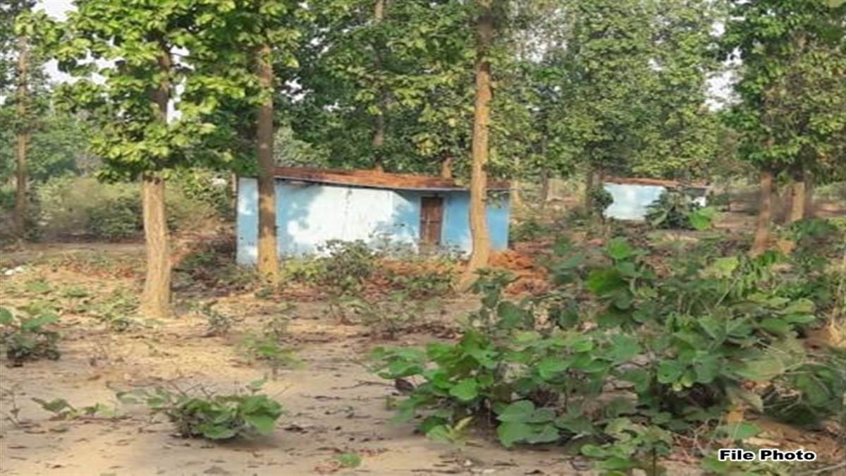 Bilaspur News: वन भूमि पर अतिक्रमणकारियों की खैर नहीं, सभी रेंज काे जांच के निर्देश