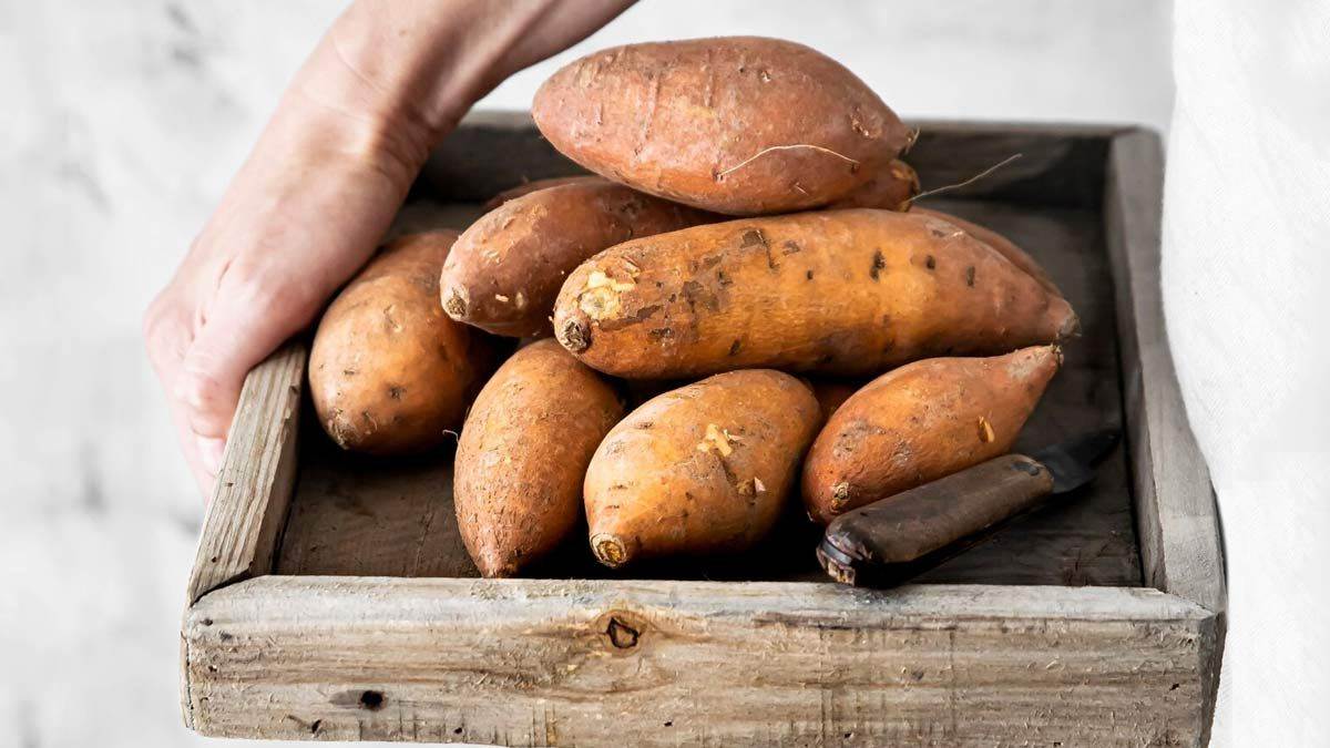 Sweet Potato सर्दियों में रोज खाएं शकरकंद, शरीर को ये होंगे जबरदस्त