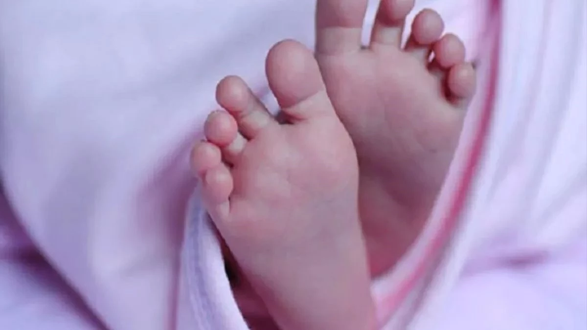 नवजात को जंगल में छोड़ गई कलयुगी मां, ग्रामीणों को झाड़ियों में रोता मिला बच्चा