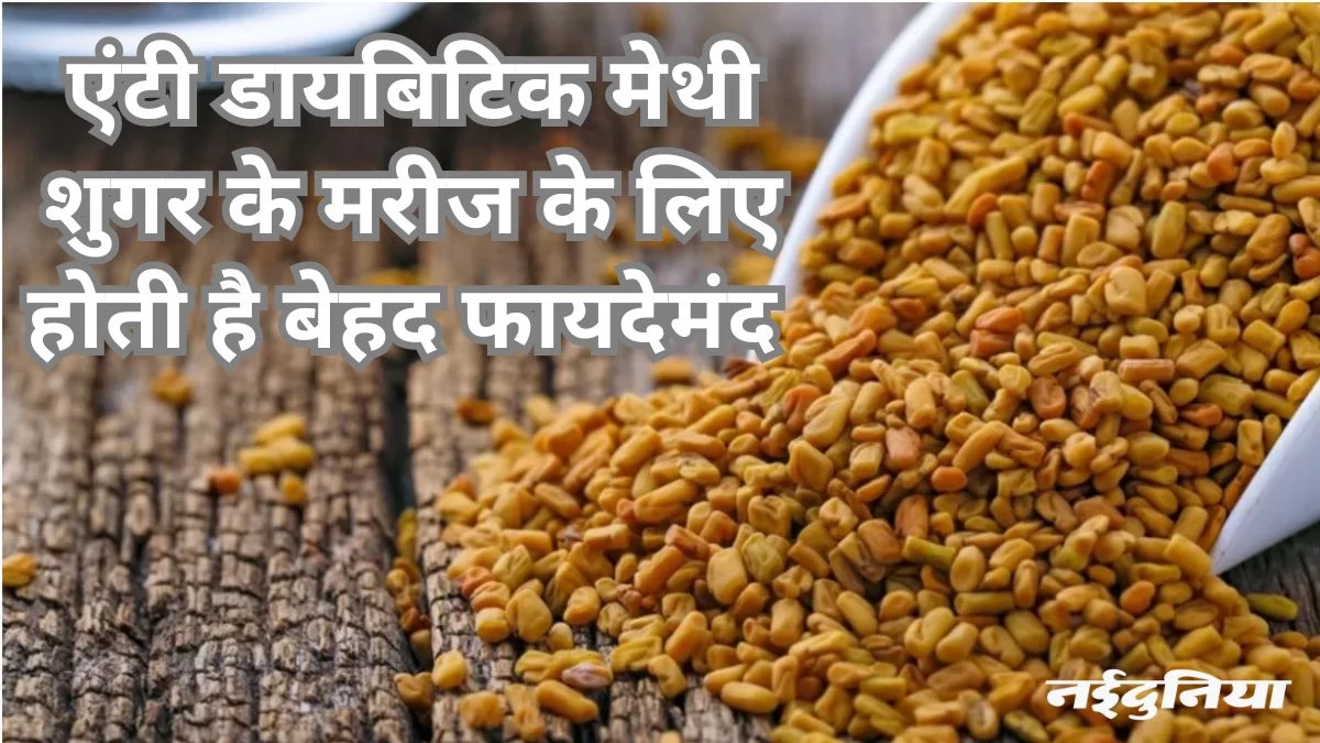 मेथी के स्प्राउट्स रोजाना खाएं... बाल घने होंगे, स्पर्म काउंट बढ़ेगा और बैड कोलेस्ट्रॉल रहेगा काबू