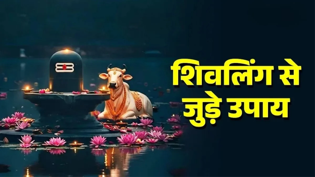 Makar Sankranti 2026: मकर संक्रांति पर ऐसे करें शिव अभिषेक, जानें घर की सुख-शांति के अचूक उपाय