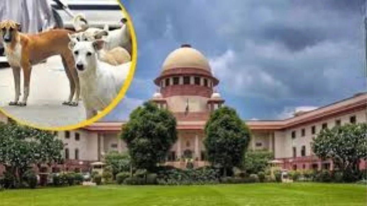 'कुत्ता कब काट ले, आप उसका दिमाग नहीं पढ़ सकते', सुप्रीम कोर्ट ने आवारा कुत्तों के हमलों पर जताई चिंता