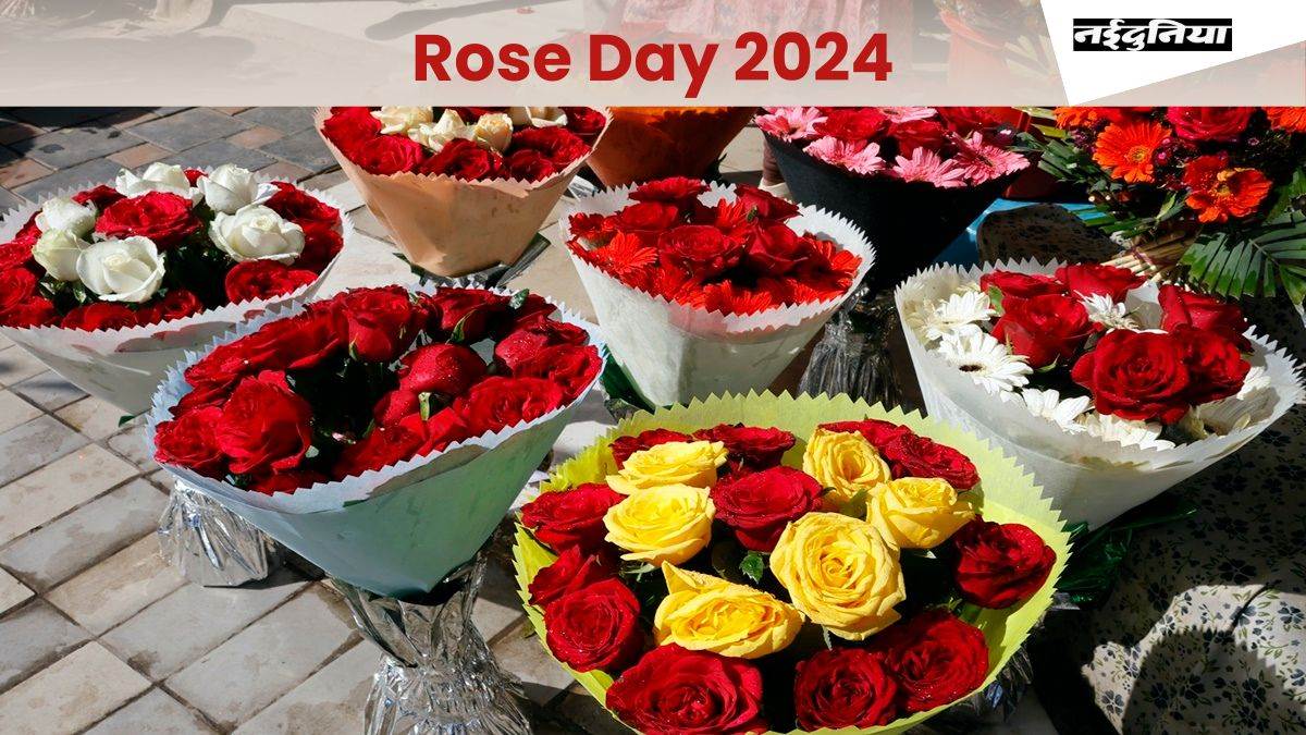 Rose Day 2024   07 02 2024 Rose Day 2024 7 2 2024 