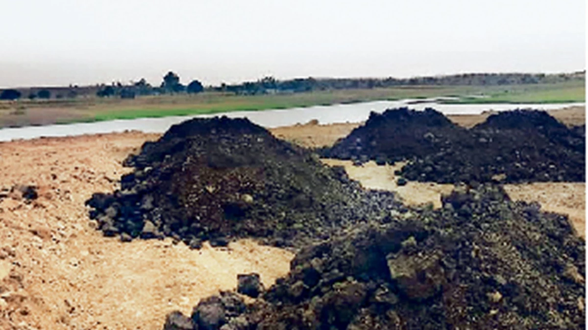 भोपाल में केरवा-कलियासोत डैम में भराव पर एनजीटी सख्त, कैचमेंट में मिट्टी डालने पर होगी जेल