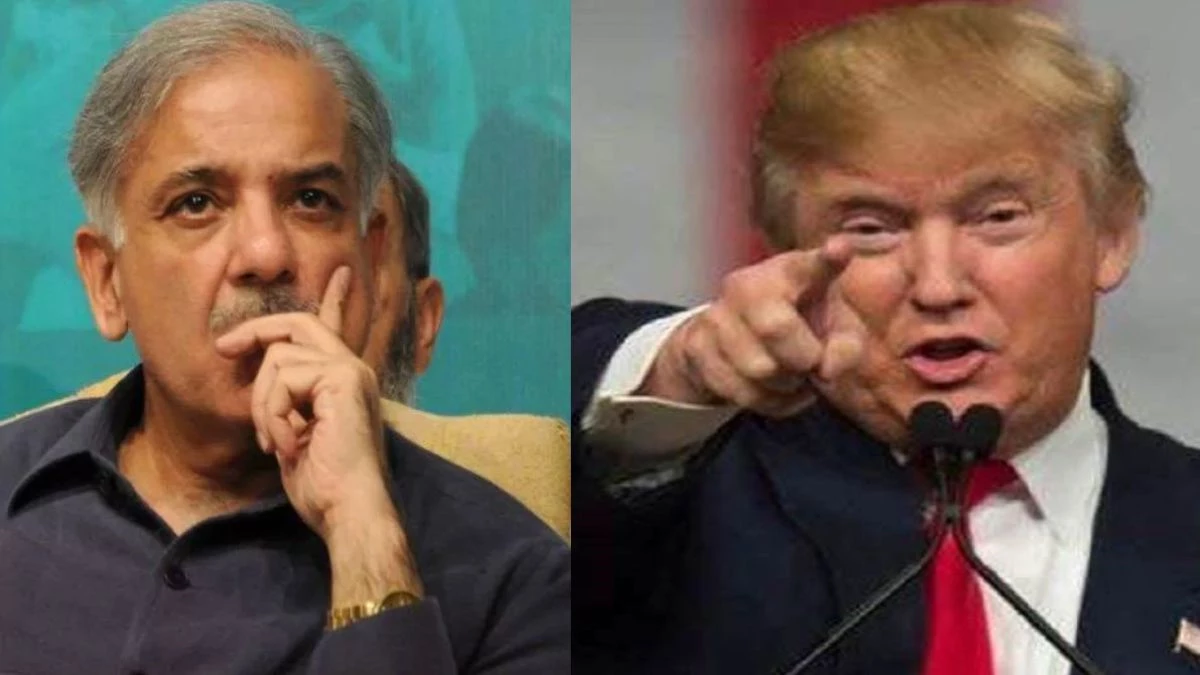 US Travel Ban on Pak: डोनाल्ड ट्रंप लगाने जा रहे ट्रैवल बैन… अमेरिका की सीमा में दाखिल नहीं हो सकेगा कोई पाकिस्तानी नागरिक