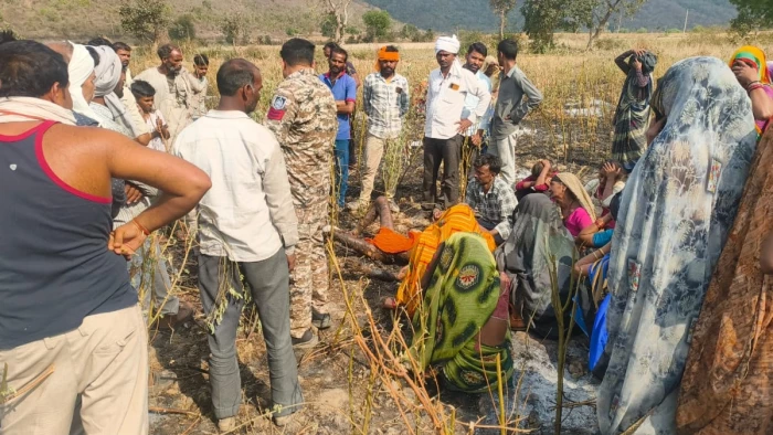 सतना में फसल बचाने की कोशिश में बुजुर्ग किसान जिंदा जले, अरहर की पूरी फसल राख