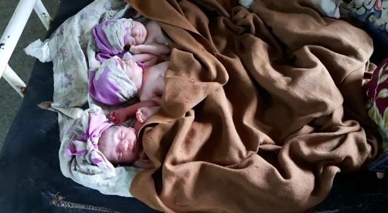 Woman Gave Birth To Three Children In Damoh All Healthy