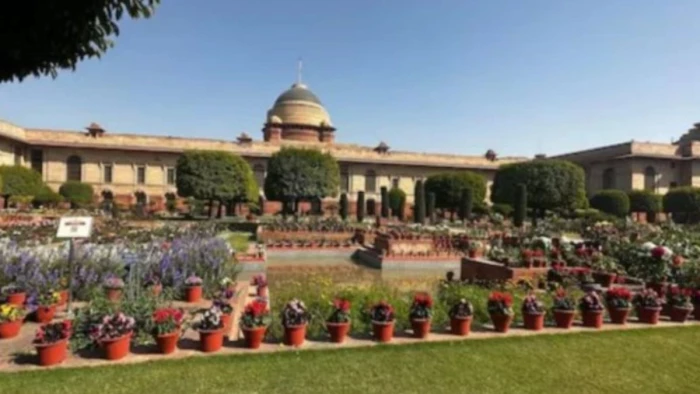 राष्ट्रपति भवन के 'एट होम' समारोह में दिखेगी मध्यप्रदेश की लोक कला, भोपाल मानव संग्रहालय तैयार कर रहा विशेष प्रदर्शनी